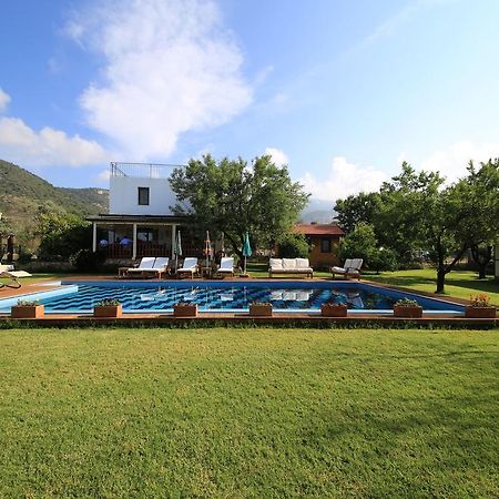 Bal Badem Bungalow Datca Exterior photo