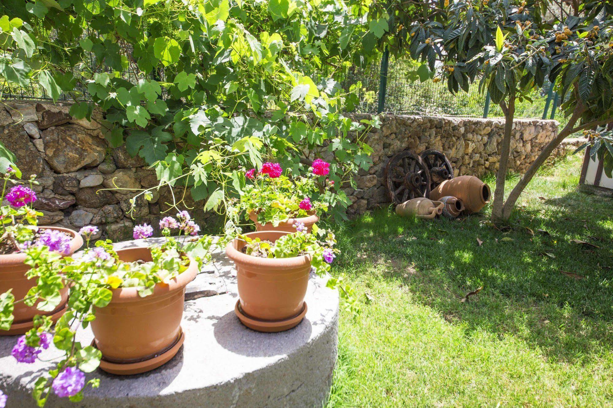 Bal Badem Bungalow Datca Exterior photo