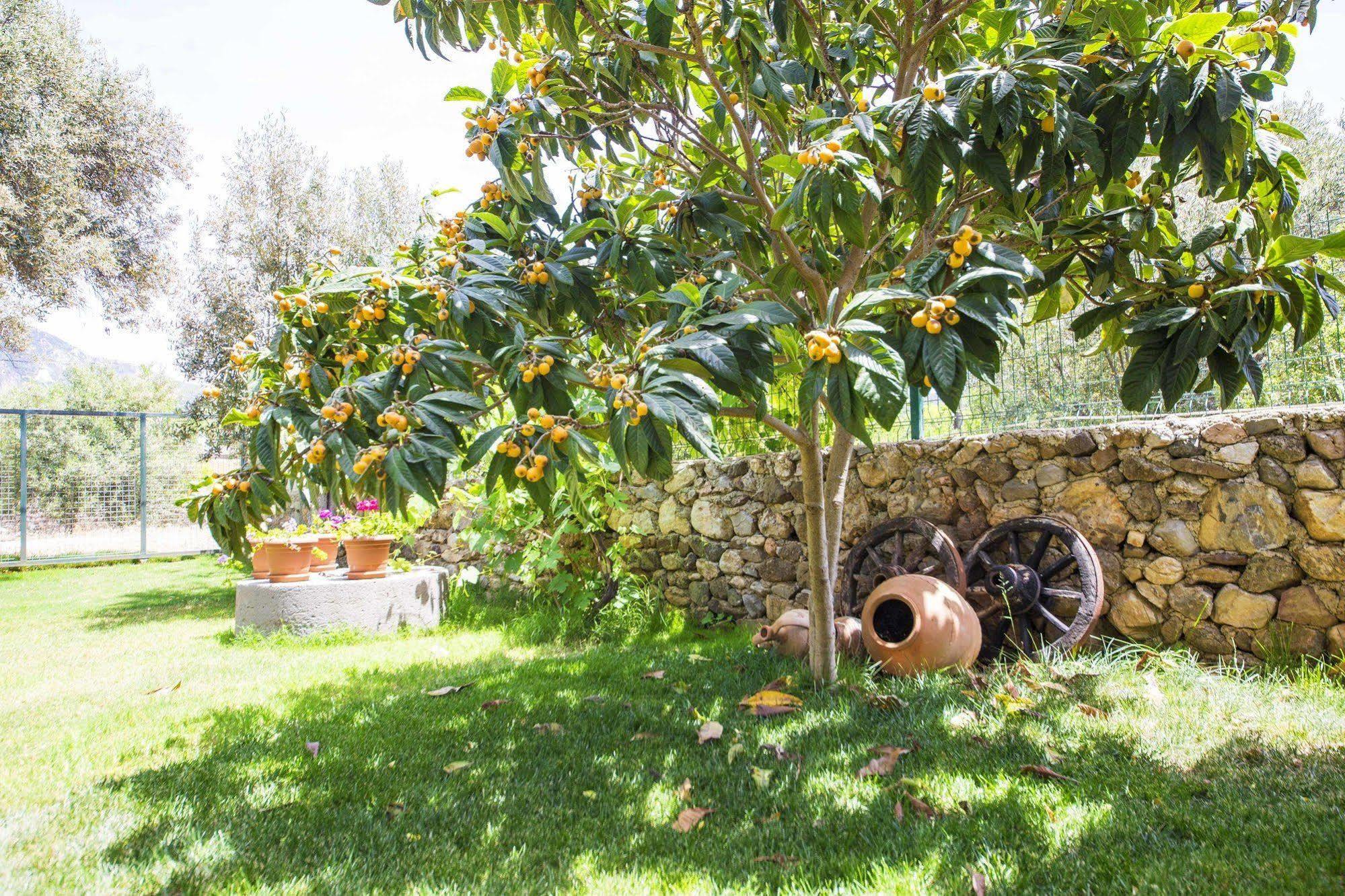 Bal Badem Bungalow Datca Exterior photo